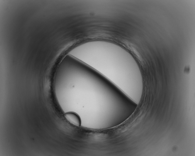X0000103430539200809121039