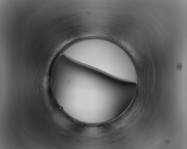 X0000103430540200809121039