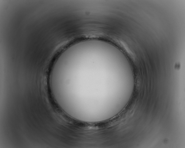 X0000103430543200809121039