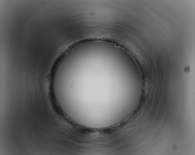 X0000103430544200809121039