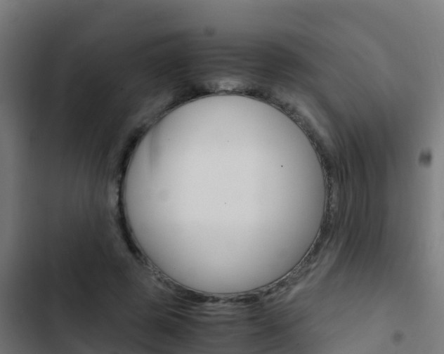 X0000103430545200809121039