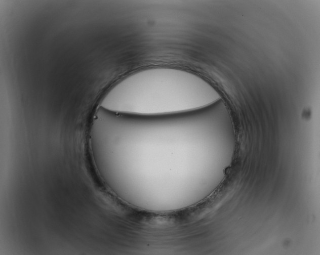 X0000103430546200809121039