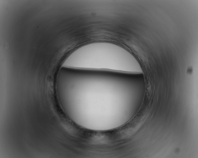 X0000103430547200809121039