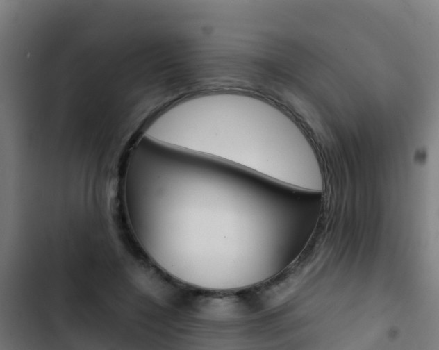 X0000103430548200809121039