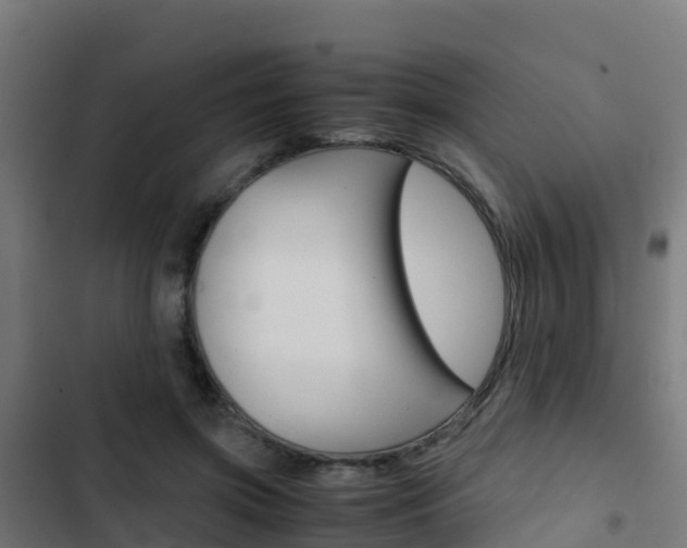 X0000103430549200809121039