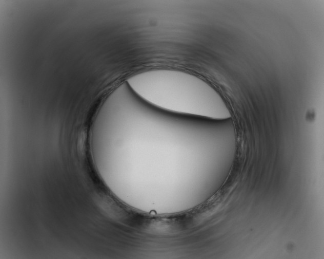 X0000103430550200809121039