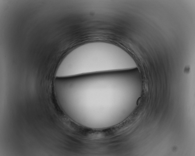 X0000103430551200809121039