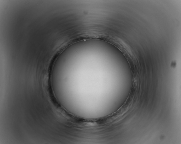 X0000103430552200809121039
