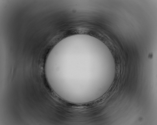 X0000103430553200809121039