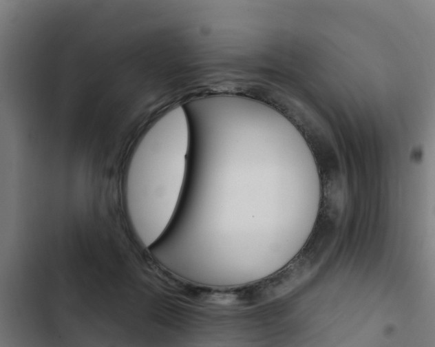 X0000103430554200809121039