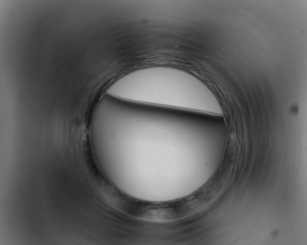 X0000103430555200809121039