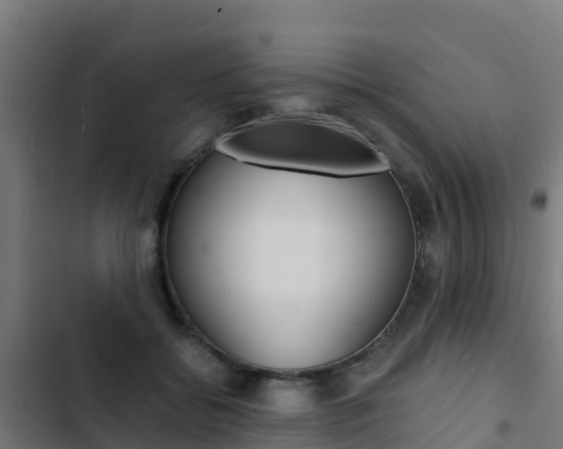 X0000103430556200809121039