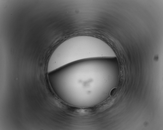 X0000103430558200809121039