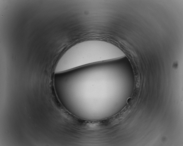 X0000103430560200809121039