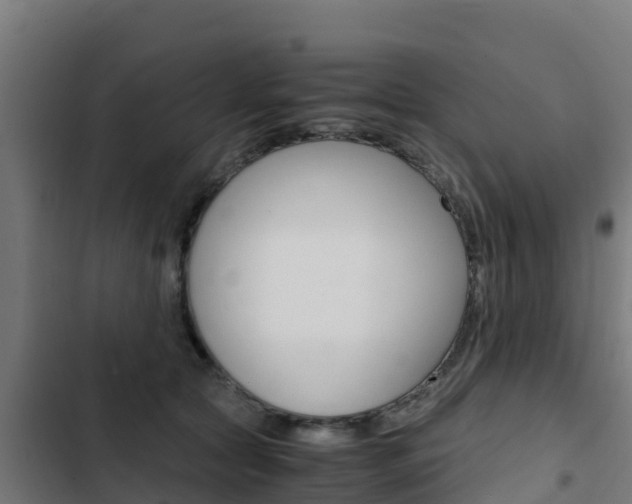 X0000103430561200809121039