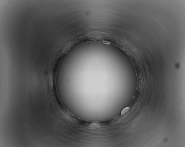 X0000103430562200809121039