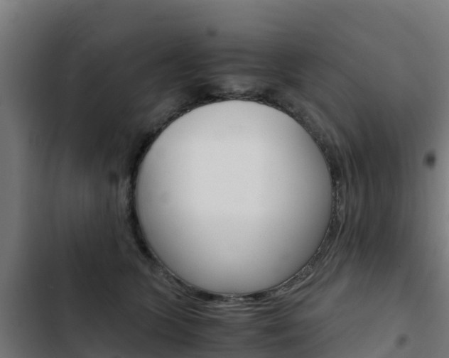 X0000103430563200809121039