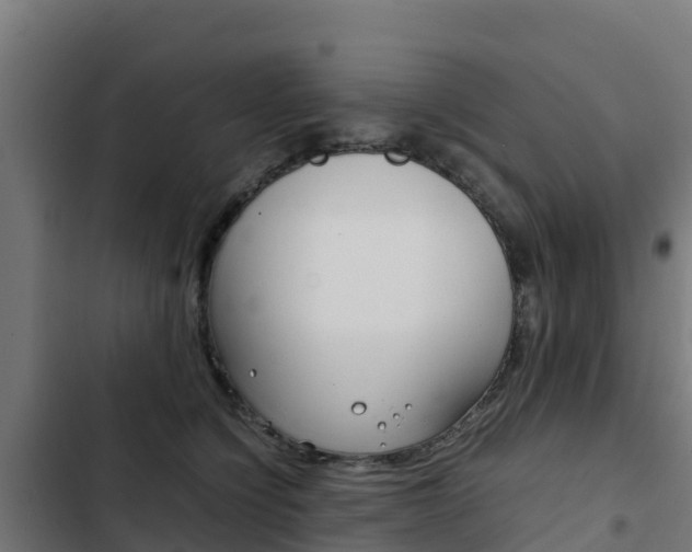 X0000103430564200809121039