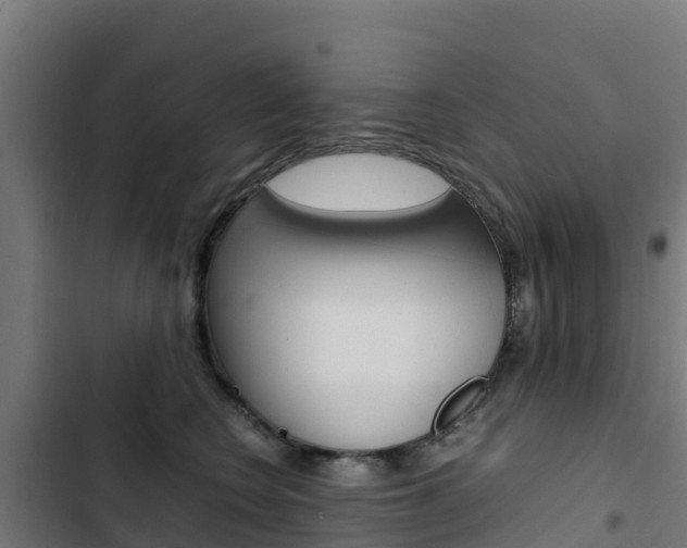 X0000103430566200809121039