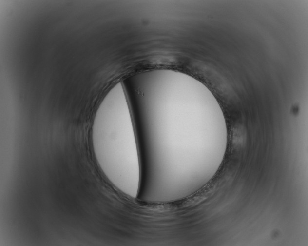 X0000103430567200809121039