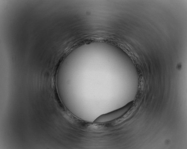 X0000103430568200809121039