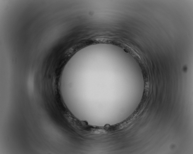 X0000103430572200809121040