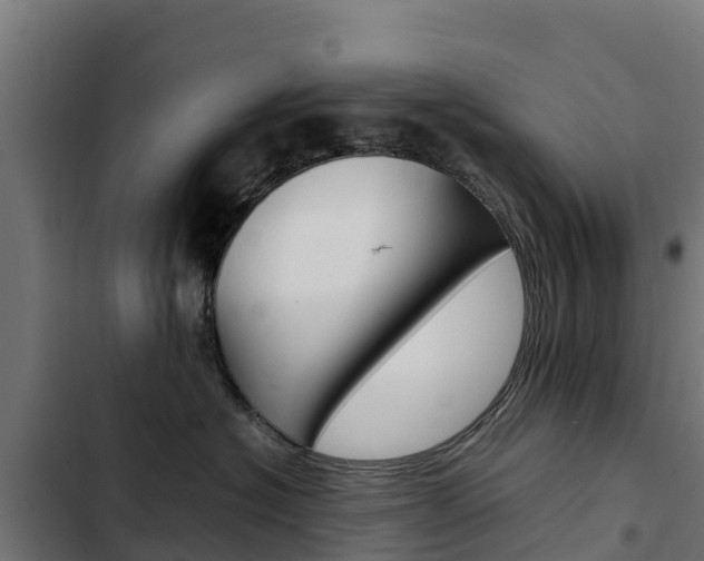 X0000103430574200809121040