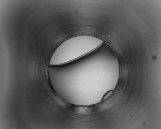 X0000103430575200809121040