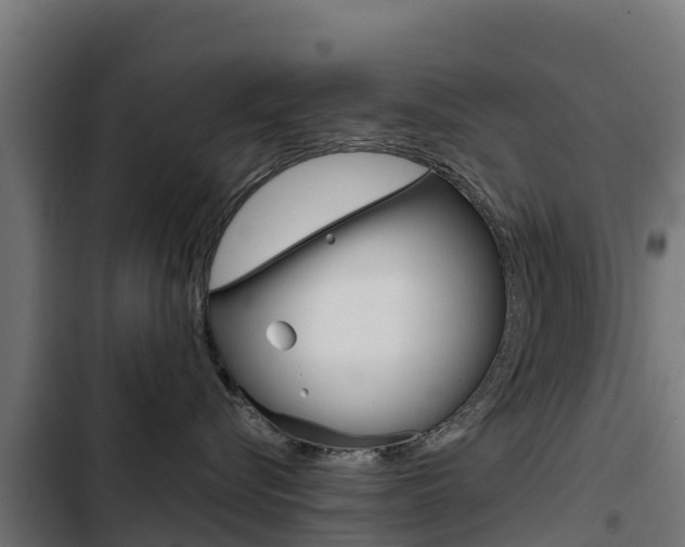 X0000103430576200809121040