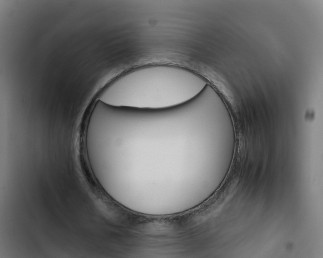 X0000103430578200809121039