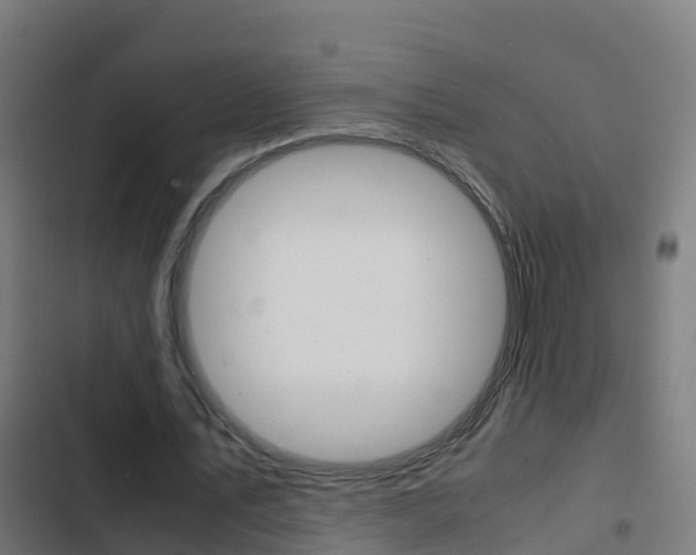 X0000103430579200809121039