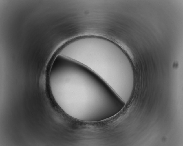 X0000103430580200809121039