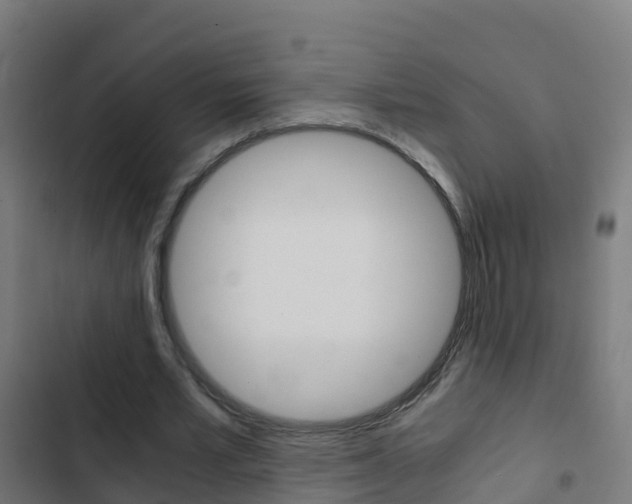 X0000103430581200809121039