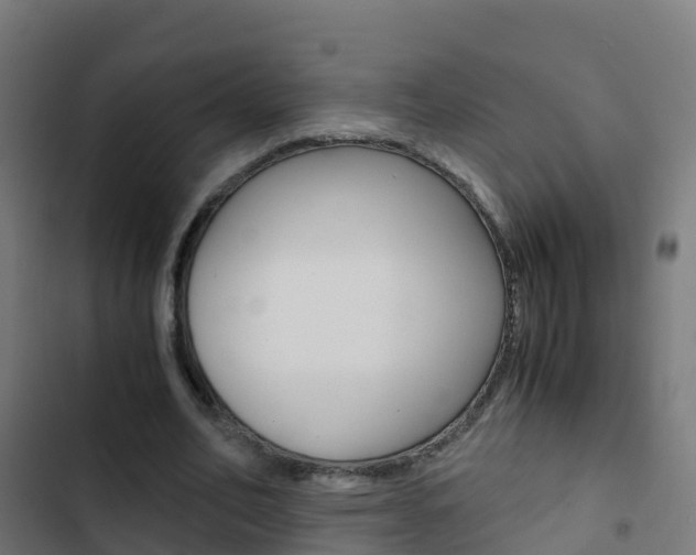 X0000103430582200809121039