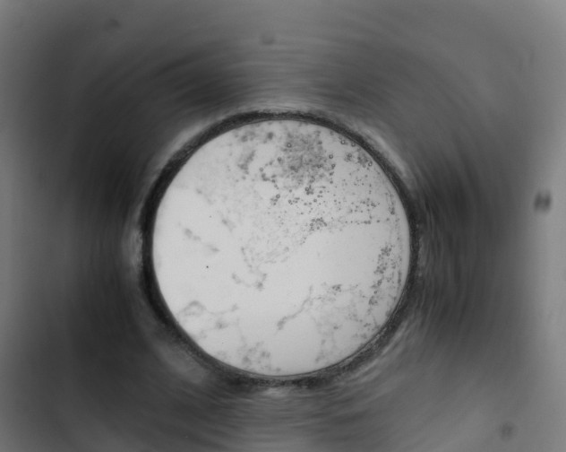 X0000103430584200809121039