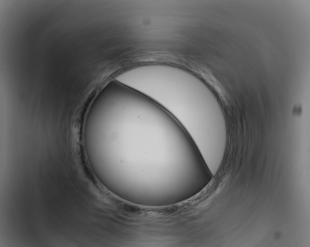 X0000103430585200809121039