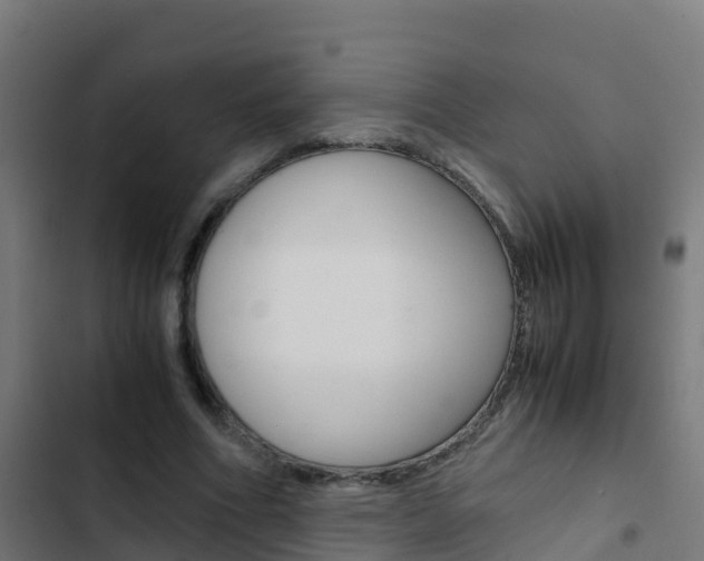 X0000103430586200809121039