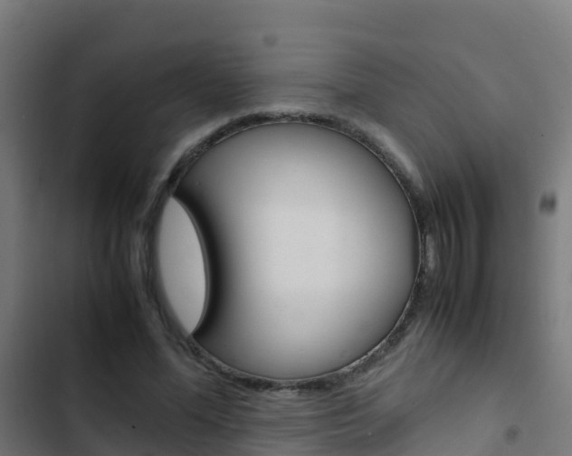 X0000103430588200809121039