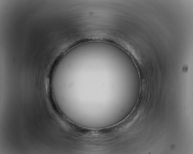 X0000103430589200809121039