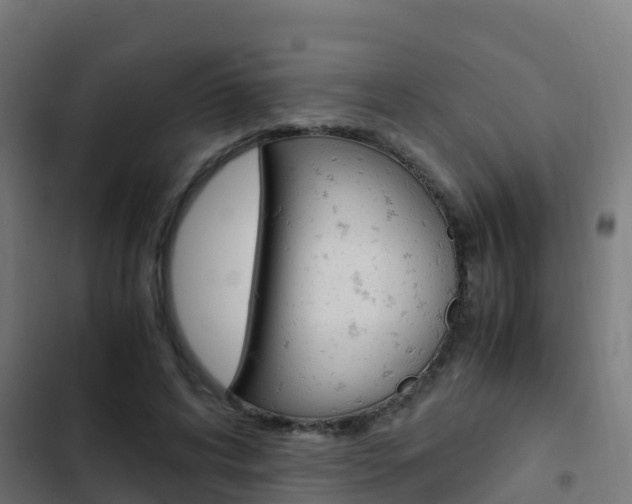 X0000103430592200809121039