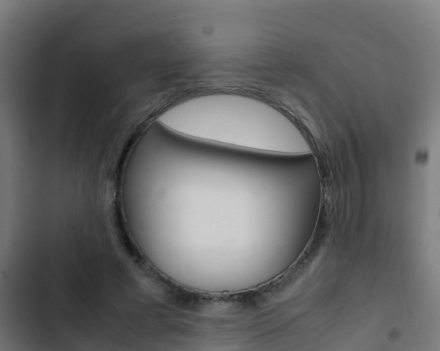 X0000103430593200809121039