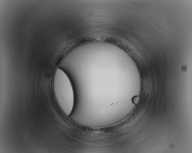 X0000103430594200809121039