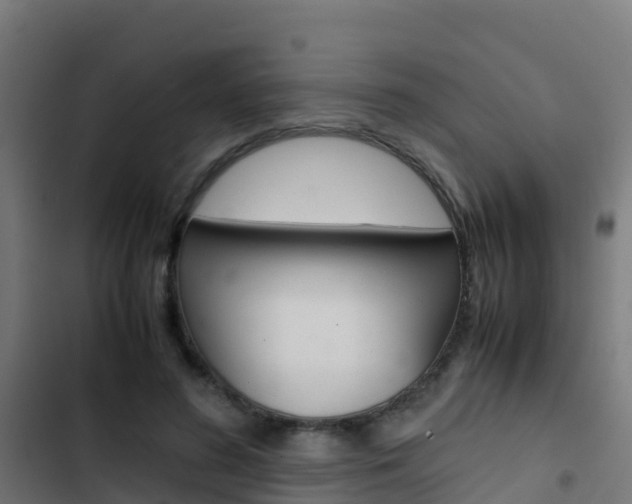 X0000103430596200809121038
