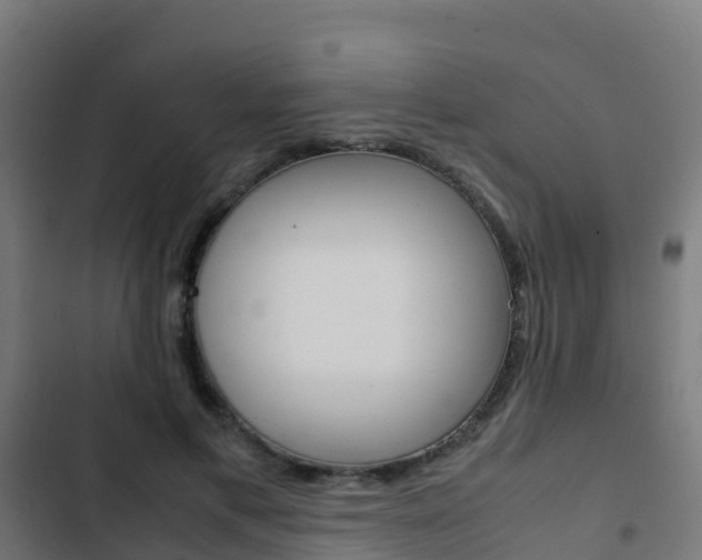 X0000103430597200809121038