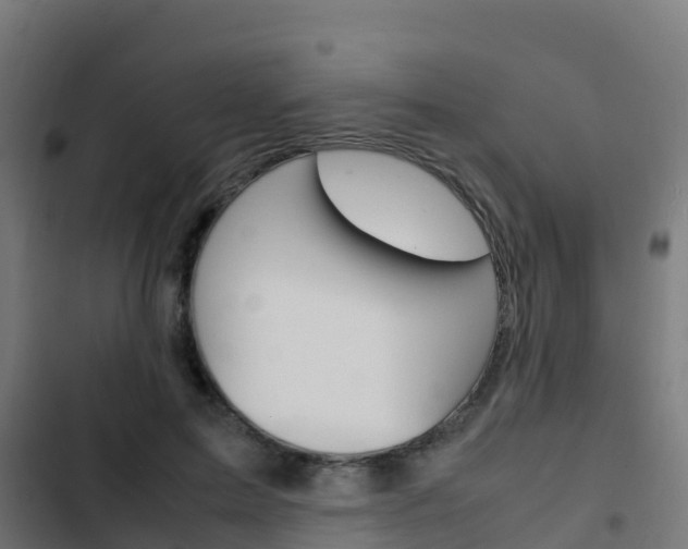 X0000103430599200809121038