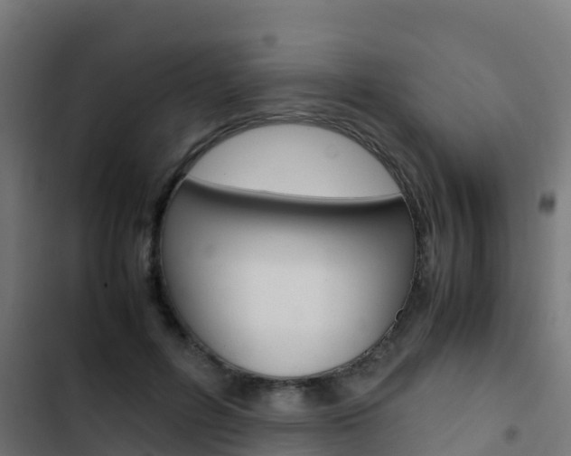 X0000103430600200809121038