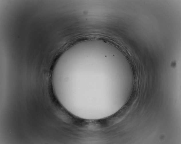 X0000103430601200809121038
