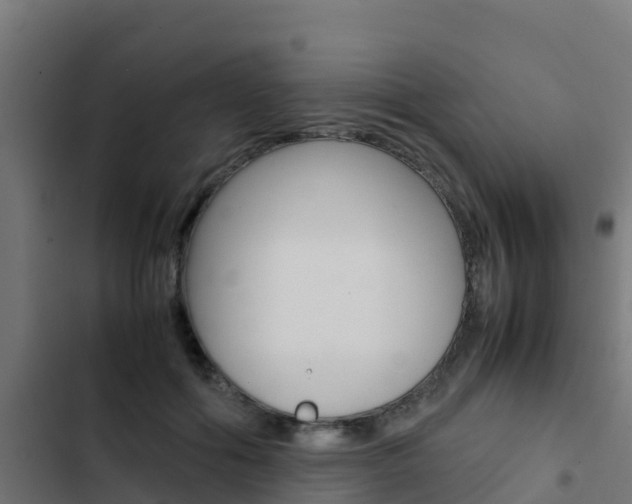 X0000103430602200809121038