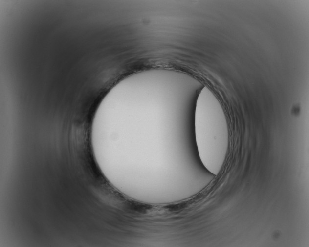 X0000103430603200809121038