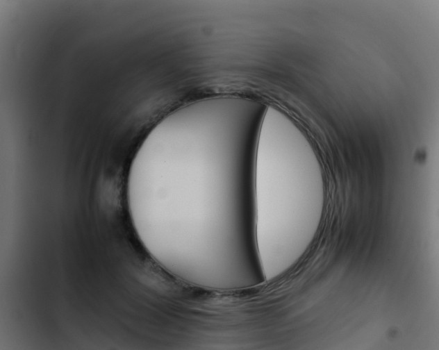 X0000103430604200809121038